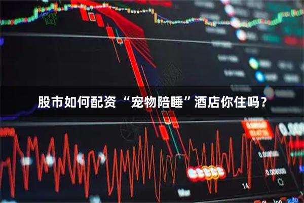 股市如何配资 “宠物陪睡”酒店你住吗？